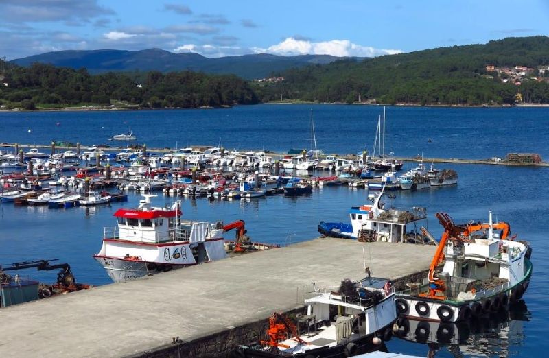 O Freixo